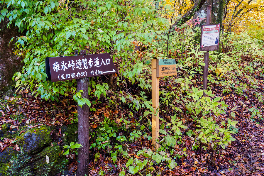 碓冰峠見晴台